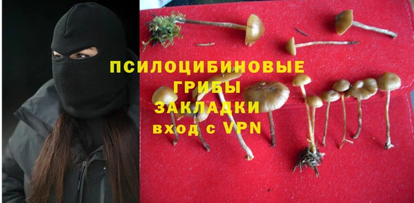 гидра Зеленодольск