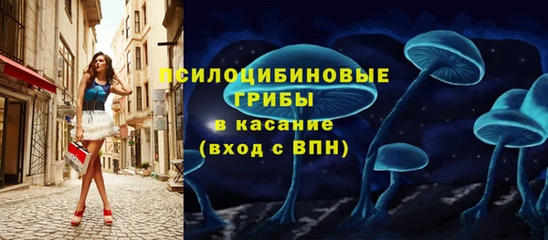 гидра Зеленодольск