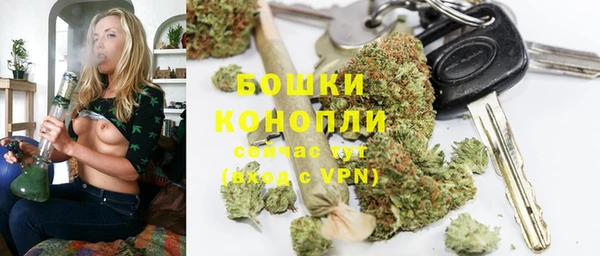 гидра Зеленодольск