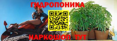 стафф Лесосибирск