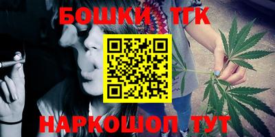 стафф Лесосибирск