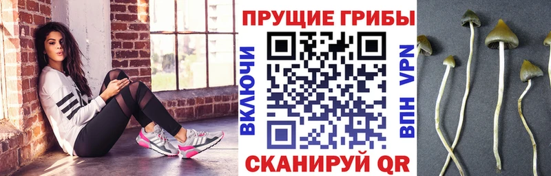 Псилоцибиновые грибы мухоморы Каменка