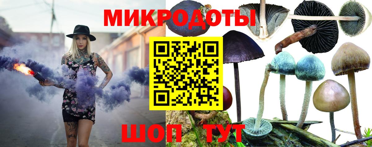 Псилоцибиновые грибы MAGIC MUSHROOMS Каменка