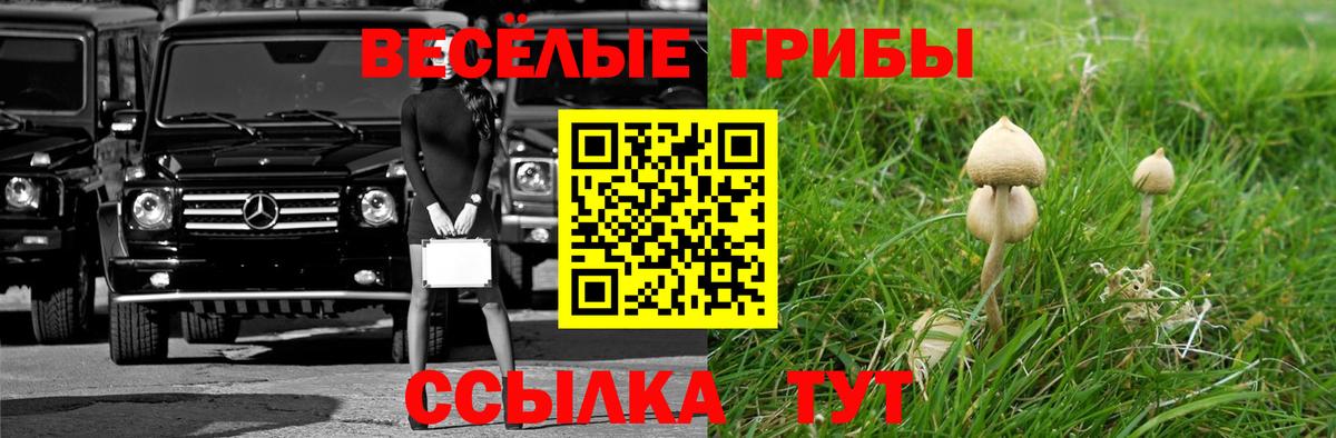 закладка  Вход с VPN  Каменка  Псилоцибиновые грибы Magic Shrooms 